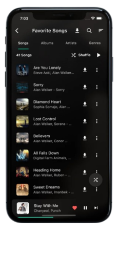 Ad-free Unlimited Streaming In 320Kbps Quality