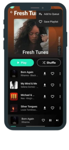 Download Songs For Offline Listening